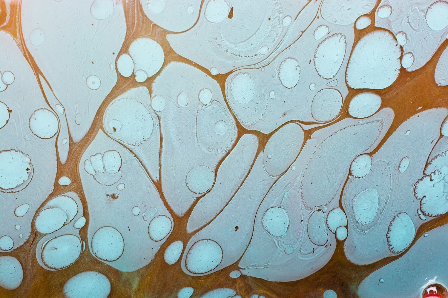 Abstract macro fluid art with distinct pale blue forms held within warm copper tones symbolizing individual identity within connection - Kim Ronan Developmental Model Couples Therapist Los Angeles.